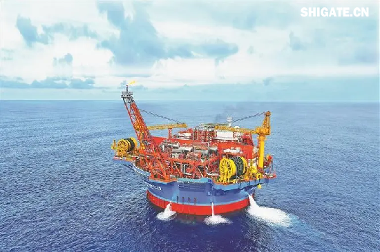 亚洲首艘圆筒型海上油气加工厂“海葵一号”于2024年9月19日投产，其深水吸力锚制造用钢全部是“舞钢牌”钢板。由于“海葵一号”吸力锚的工作水深达到324米，舞钢公司按照技术参数，为其“量身定制”海工钢。按照合同要求，所有板材都要加做板厚1/2处性能检验，对碳当量、焊接要求极严苛；实施DNV入级检验，对设计、材料、建造、检验要求极严苛，且工期较紧。舞钢公司以满足客户需求为目标，强化过程管控，顺利实现按期交货。 