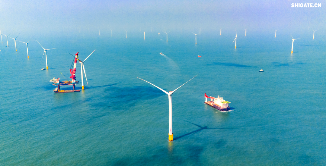 舞钢公司得知大唐南澳勒门I海上风电扩建项目的信息后，迅速组建了一支专门针对该项目的海上风电钢攻关团队。该团队由销售、科技、生产、质量等部门的杰出人才组成，目的是克服该项目钢板单重大、生产难度高的挑战，为营销系统提供全面的支援。团队与设计院、施工单位和业主进行了深入的交流和讨论，针对生产过程中遇到的难题，与相关方进行了多轮讨论，并制定了专门的生产技术方案，以加快交货速度，满足施工需求，节约施工成本，最终赢得了客户的认可。在生产过程中，舞钢公司精心组织，全力以赴推进合同生产，确保了订单的高质量和及时交付，为项目的建设提供了坚强的支持。