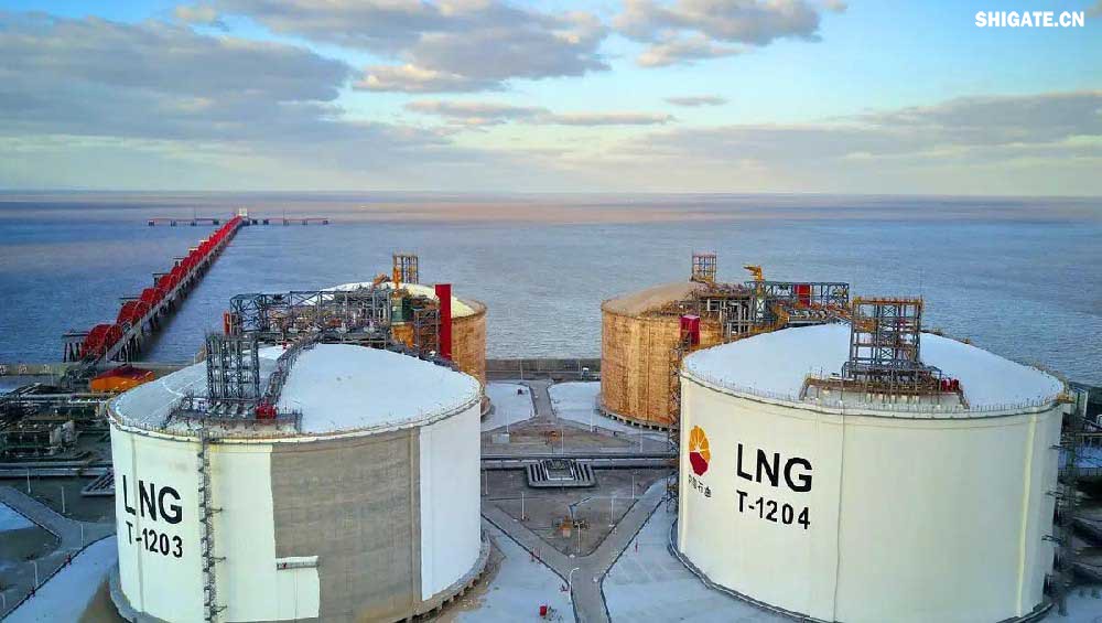 9Ni钢又称06Ni9DR，是一种低温压力容器钢板，主要用于低温储罐，LNG船舶及储罐等低温设备的制造。液化天然气（LNG）动力汽车运输船——7500车位汽车滚装船由上海船舶研究设计院研发设计，是为德国大众汽车集团制造的。舞钢为其研发生产40毫米厚、-196℃超低温冲击韧性的9Ni（镍）优质钢板，实现替代进口。