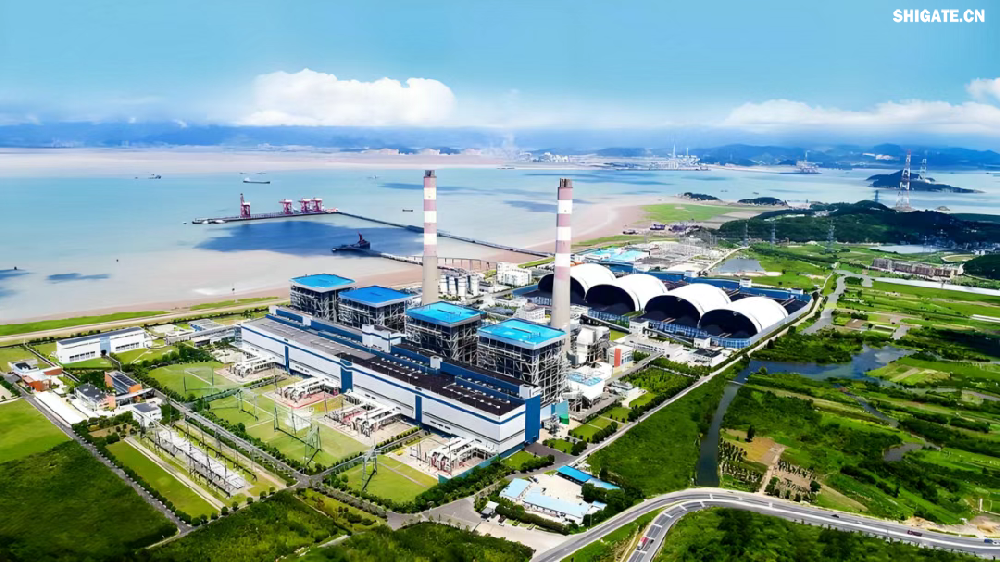 新华社北京11月8日电中国华能11月8日宣布，650摄氏度临界燃煤发电机组——华能玉环电厂四期项目完成首方混凝土浇筑，进入全面建设阶段。在该项目建设中，河钢集团舞钢公司锅炉汽包板用于该项目的核心关键部位—锅炉等的制作。